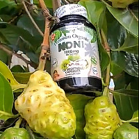 Premium Organic Noni